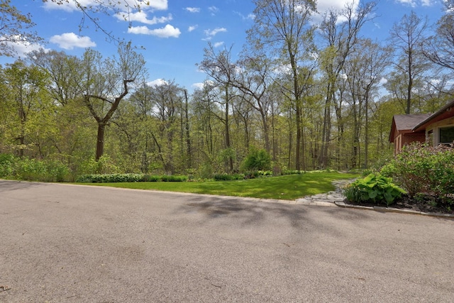 2030 Burke Dr, Winthrop Harbor, IL 60096 - view of street featuring a wooded view