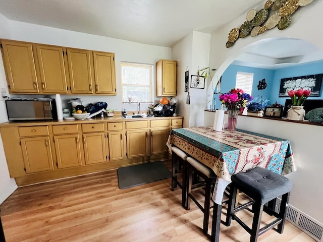 405 Oscar Ave, Joliet, IL 60433 - kitchen featuring light wood finished floors, plenty of natural light, arched walkways, and a sink