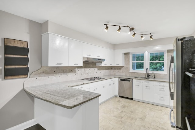 2S579 Partridge Rd, Batavia, IL 60510 - kitchen featuring appliances with stainless steel finishes, a sink, under cabinet range hood, a peninsula, and decorative backsplash