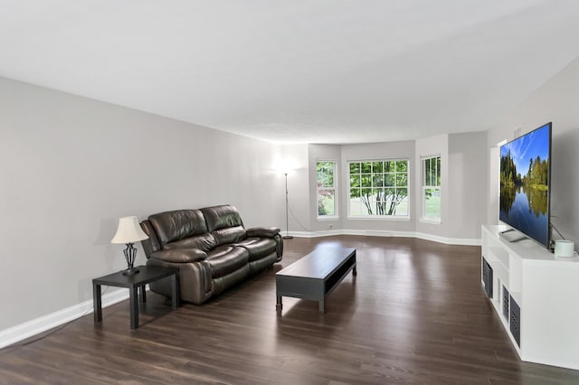 2S579 Partridge Rd, Batavia, IL 60510 - living room with dark wood-style flooring, baseboards, and a fireplace
