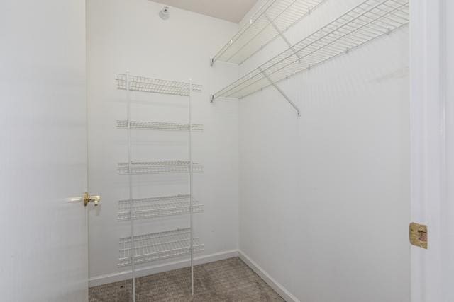 400 S NW Hwy Unit 309, Park Ridge, IL 60068 - walk in closet with carpet flooring