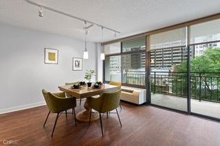 1430 N Astor St Unit 7A, Chicago, IL 60610 - dining area featuring track lighting, dark wood-type flooring, plenty of natural light, and floor to ceiling windows