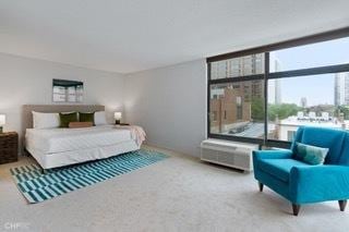 1430 N Astor St Unit 7A, Chicago, IL 60610 - view of carpeted bedroom