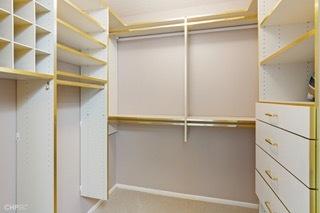 1430 N Astor St Unit 7A, Chicago, IL 60610 - view of walk in closet