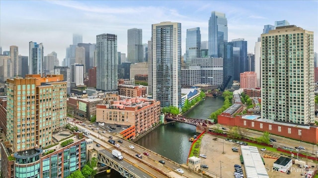 653 N Kingsbury St Unit 706, Chicago, IL 60654 - view of city skyline featuring a notable bridge and a nearby body of water