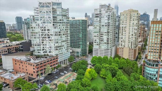 653 N Kingsbury St Unit 706, Chicago, IL 60654 - view of city
