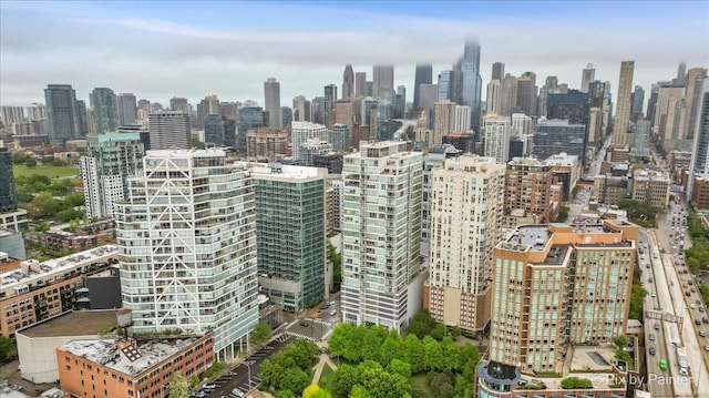 653 N Kingsbury St Unit 706, Chicago, IL 60654 - skyline view