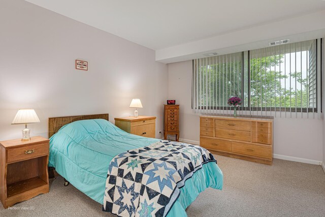 2 S Atrium Way Unit 407, Elmhurst, IL 60126 - carpeted bedroom with baseboards