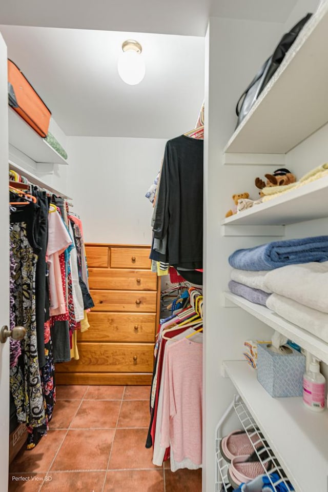 2 S Atrium Way Unit 407, Elmhurst, IL 60126 - walk in closet with tile patterned floors