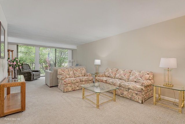 2 S Atrium Way Unit 407, Elmhurst, IL 60126 - view of carpeted living room