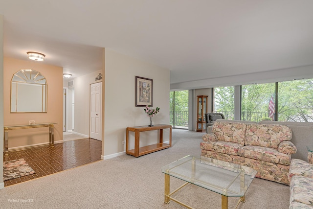 2 S Atrium Way Unit 407, Elmhurst, IL 60126 - living room with baseboards and carpet