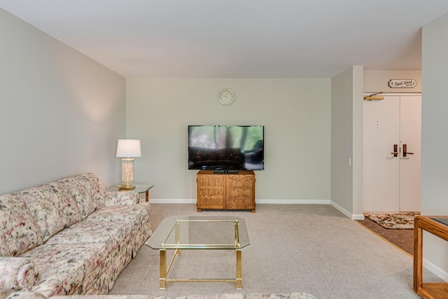 2 S Atrium Way Unit 407, Elmhurst, IL 60126 - living room featuring carpet and baseboards