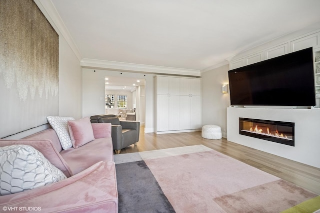 4300 N Marine Dr Unit 306, Chicago, IL 60613 - living room with crown molding, light wood-type flooring, and a glass covered fireplace