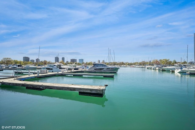 4300 N Marine Dr Unit 306, Chicago, IL 60613 - dock featuring a water view
