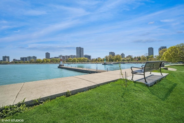 4300 N Marine Dr Unit 306, Chicago, IL 60613 - view of pool featuring a view of skyline, a yard, and a water view