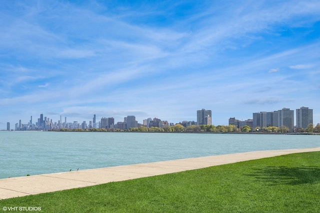4300 N Marine Dr Unit 306, Chicago, IL 60613 - water view featuring a skyline view