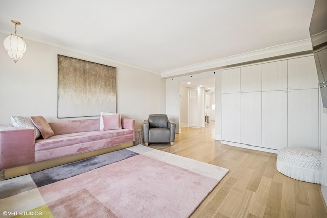 4300 N Marine Dr Unit 306, Chicago, IL 60613 - living room featuring light wood-style floors and ornamental molding