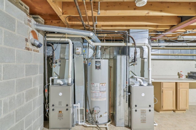 723 Beacon Dr, Lake Barrington, IL 60010 - utilities featuring gas water heater