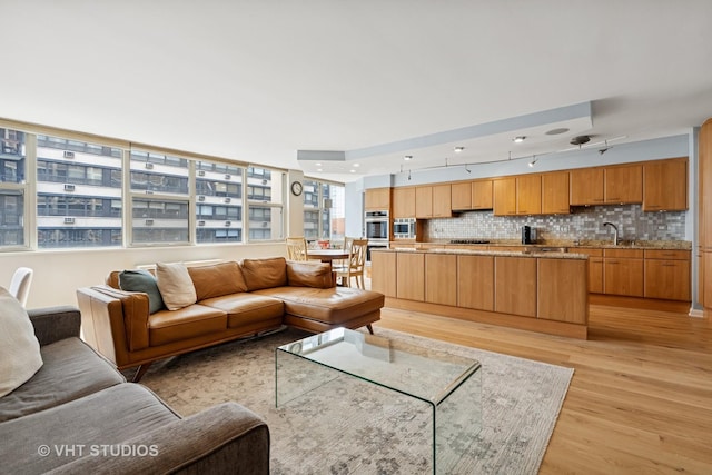 40 E Cedar St Unit 8Cd, Chicago, IL 60611 - living area with light wood-style floors