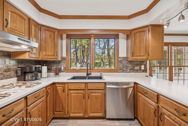 5808 Amherst Ct, Mchenry, IL 60050 - kitchen featuring stainless steel dishwasher, a sink, under cabinet range hood, brown cabinetry, and ornamental molding
