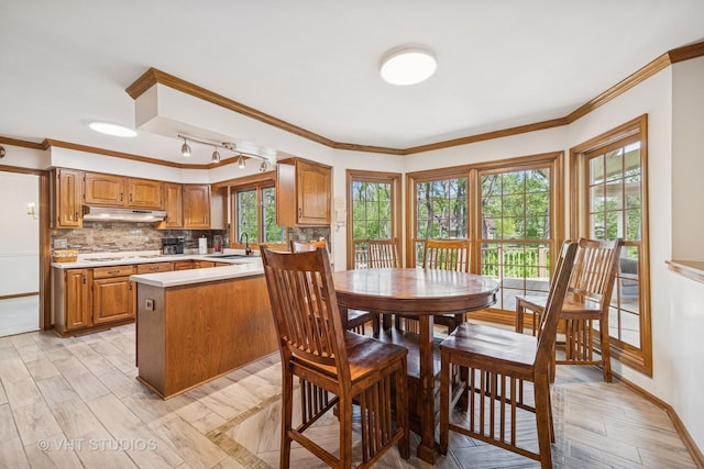 5808 Amherst Ct, Mchenry, IL 60050 - dining area with crown molding, light wood-type flooring, and baseboards
