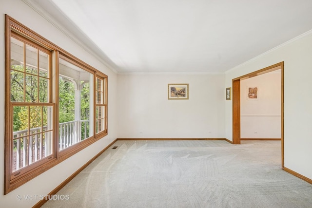 5808 Amherst Ct, Mchenry, IL 60050 - unfurnished room featuring carpet flooring, baseboards, and crown molding