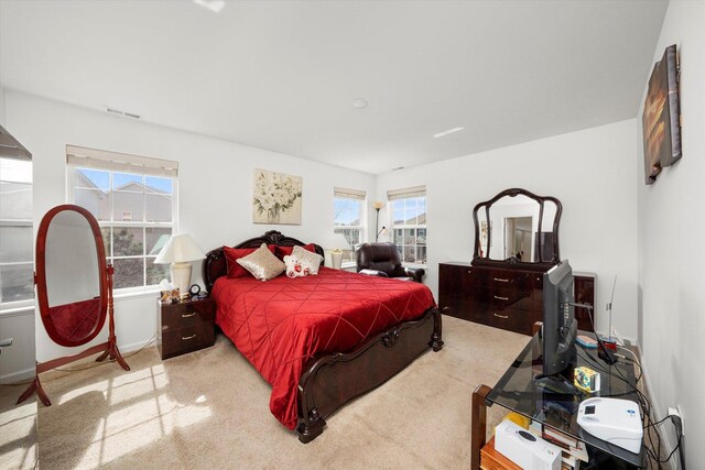 217 Owen St, Matteson, IL 60443 - view of carpeted bedroom