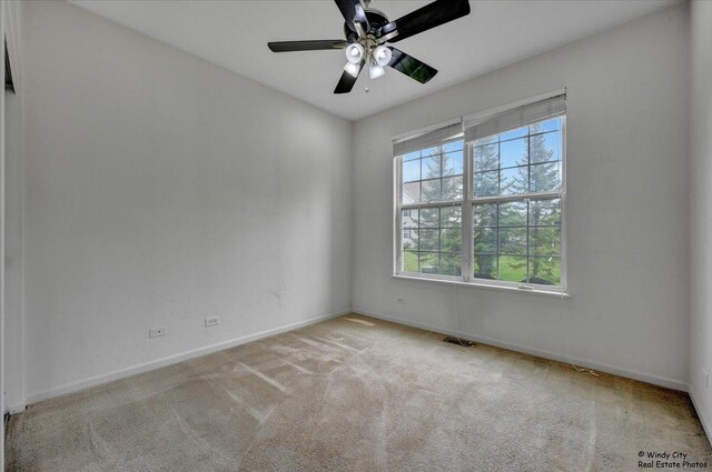 231 Valencia Pkwy, Gilberts, IL 60136 - photo 16