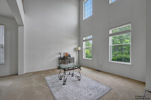 231 Valencia Pkwy, Gilberts, IL 60136 - photo 4
