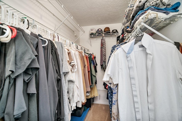 3513 Harris Dr, Joliet, IL 60431 - walk in closet featuring carpet flooring