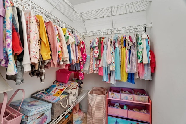 3513 Harris Dr, Joliet, IL 60431 - view of spacious closet