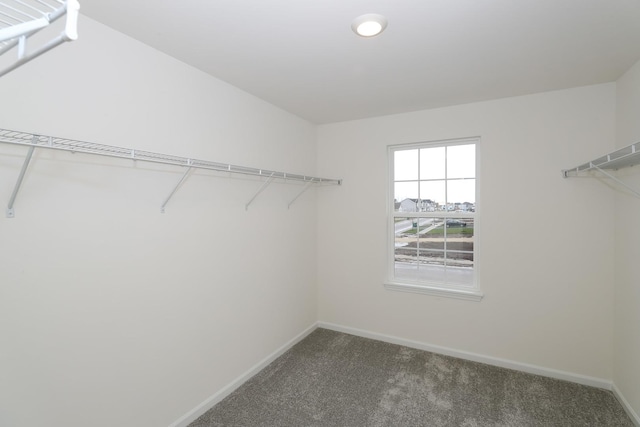 23252 W Teton Ln, Plainfield, IL 60585 - photo 19