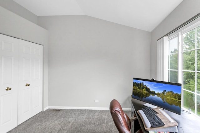 2451 Stonegate Rd Unit 2451, Algonquin, IL 60102 - office space featuring lofted ceiling, baseboards, and carpet floors