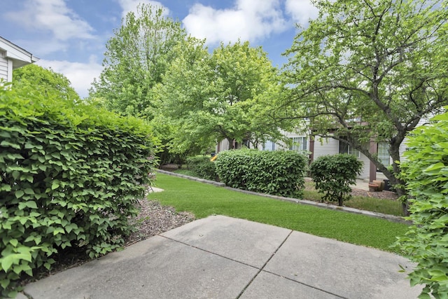 2451 Stonegate Rd Unit 2451, Algonquin, IL 60102 - view of grassy yard with a patio area