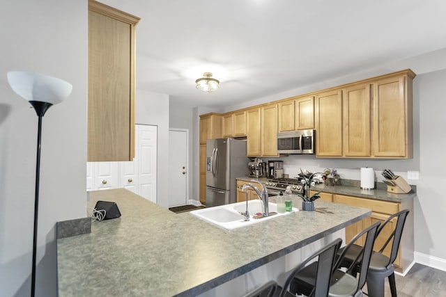 2451 Stonegate Rd Unit 2451, Algonquin, IL 60102 - kitchen with appliances with stainless steel finishes, a sink, a kitchen bar, baseboards, and a peninsula