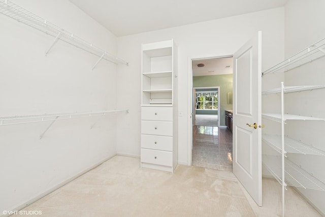13881 Traverse Ct, Huntley, IL 60142 - walk in closet with light colored carpet