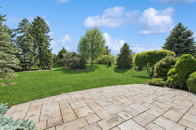 13881 Traverse Ct, Huntley, IL 60142 - view of patio / terrace