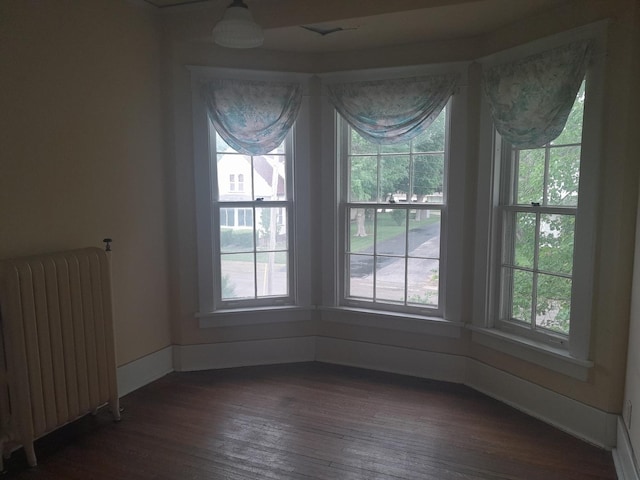 516 S Grant St, Earlville, IL 60518 - empty room with radiator and dark wood-style floors