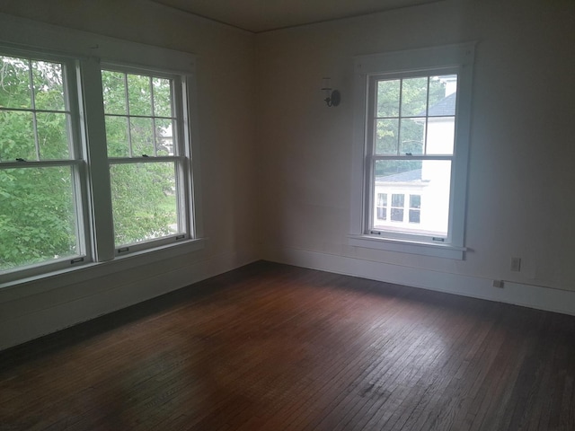 516 S Grant St, Earlville, IL 60518 - unfurnished room featuring healthy amount of natural light and dark wood-style flooring