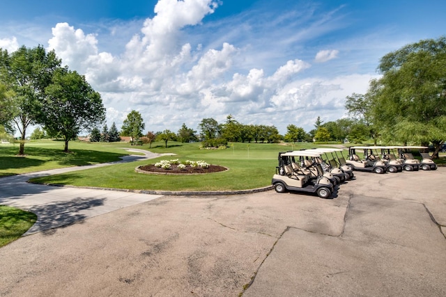 13804 Ironwood Dr, Plainfield, IL 60544 - view of property's community with a yard