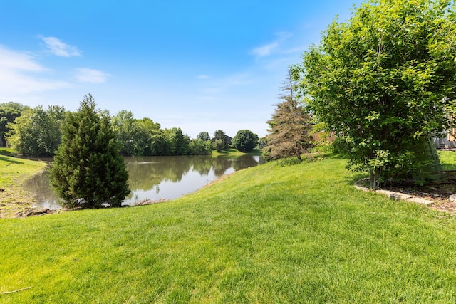 316 Jamatt Ct, Naperville, IL 60540 - photo 32