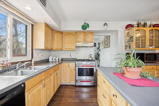 7 Woodmar Ct, Streamwood, IL 60107 - kitchen featuring appliances with stainless steel finishes, a sink, light brown cabinetry, under cabinet range hood, and dark wood-style flooring