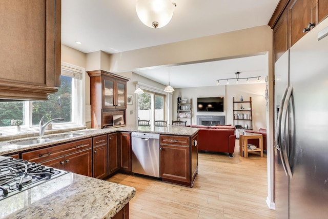 609 Bryce Trl, Roselle, IL 60172 - kitchen with appliances with stainless steel finishes, a sink, a peninsula, light wood finished floors, and a fireplace