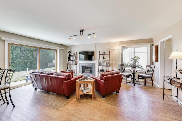 609 Bryce Trl, Roselle, IL 60172 - living area with light wood-style flooring, plenty of natural light, and a fireplace