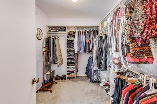 609 Bryce Trl, Roselle, IL 60172 - walk in closet with carpet floors