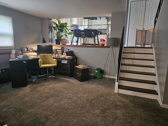 8554 Fir St, Orland Park, IL 60462 - home office with carpet floors