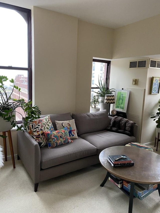 living room with carpet