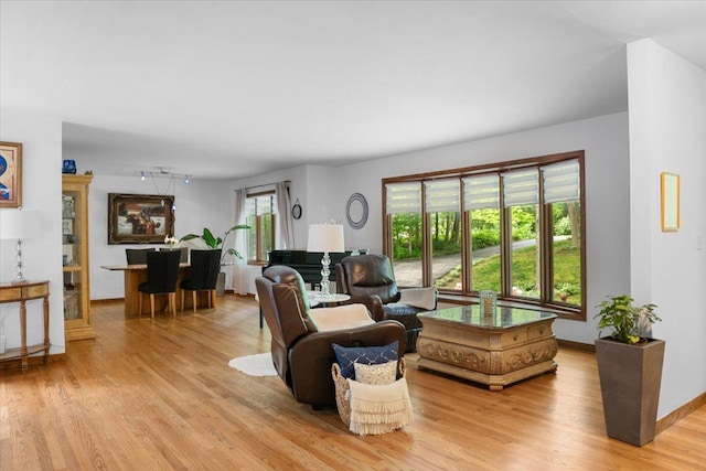 7417 N Hill Rd, Marengo, IL 60152 - living area with light wood-style flooring, track lighting, and baseboards