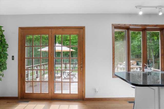 7417 N Hill Rd, Marengo, IL 60152 - doorway with light wood-style flooring and track lighting