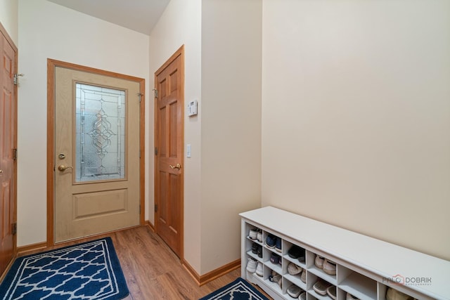 1701 Driftwood Ln, Crystal Lake, IL 60014 - entrance foyer with light wood-style floors and baseboards